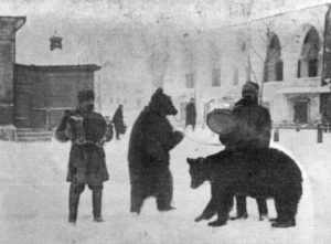 Вожаки с медведями в Калуге